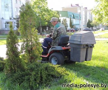 Столин будет утопать в цветах – обещают коммунальники