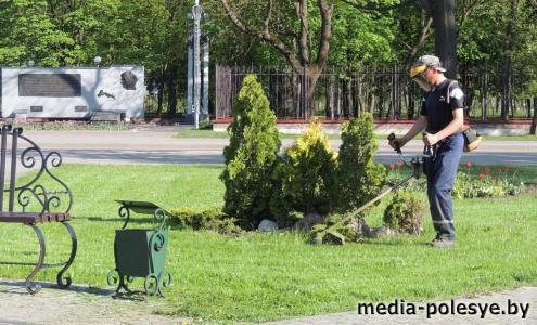 Столин будет утопать в цветах – обещают коммунальники