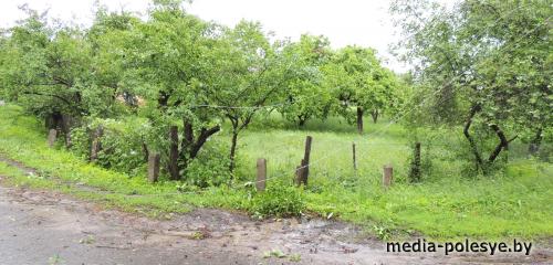 Буря с грозой пронеслась по Столинщине