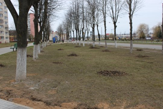 Продолжается масштабная акция по благоустройству населенных пунктов. 27 апреля в Жодино прошел очередной субботник.
