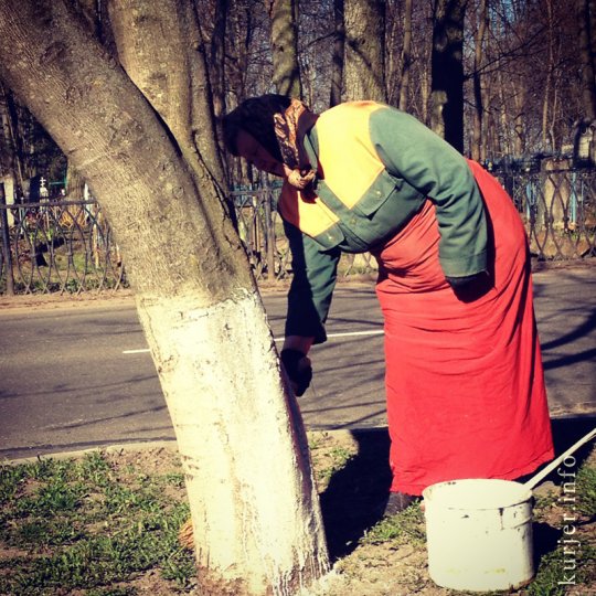 Фотоокна. 03.05.13. Мобильником