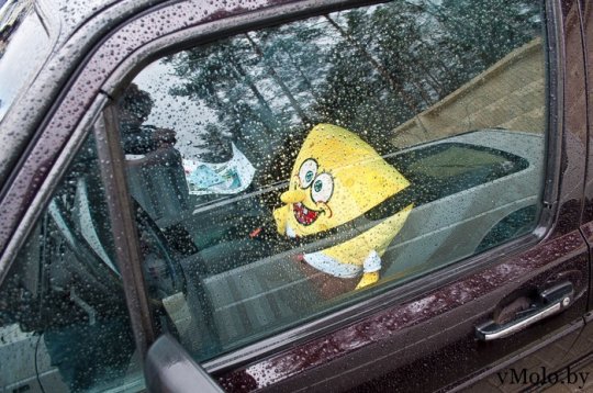 В Молодечненском районе прошел Stance-фестиваль «заниженных» автомобилей (фото)