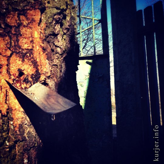 Фотохроника апреля—2013. Слуцк