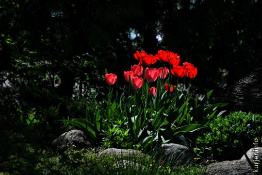 День Победы в Слуцке-2013, ч.2