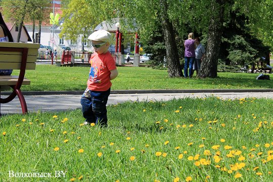 День Победы в Волковыске (фотоотчет)