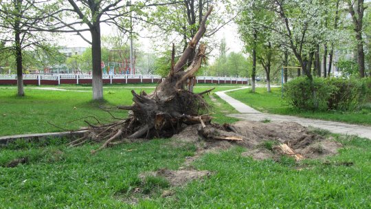 Тротуары в городе.