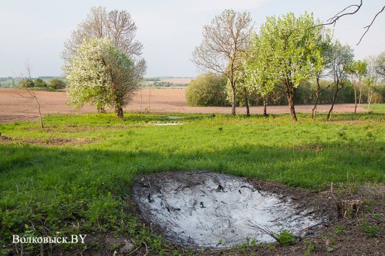 Шауличи: мы помним?