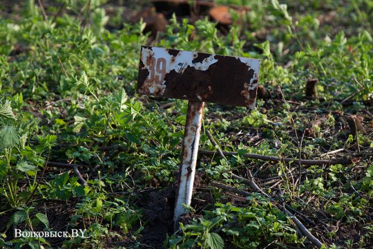 Шауличи: мы помним?