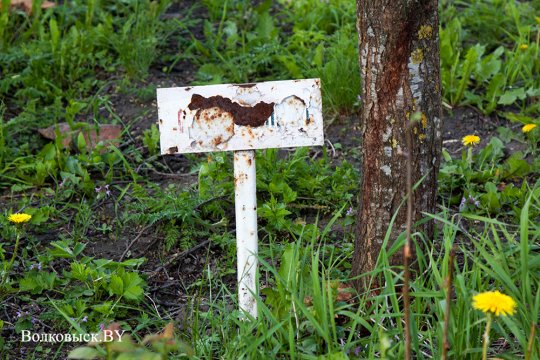 Шауличи: мы помним?