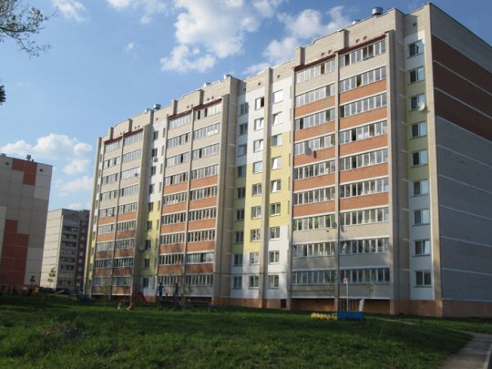 Многолетние деревья спилены и брошены (+фото)