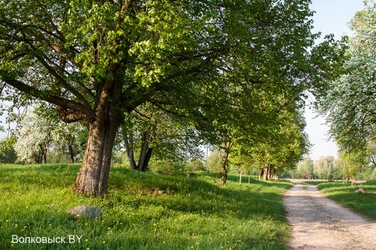 Шавулічы: знак бяды