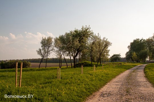 Шавулічы: знак бяды