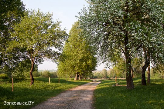 Шавулічы: знак бяды