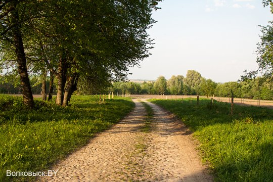 Шавулічы: знак бяды