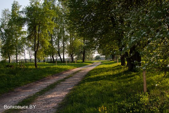 Шавулічы: знак бяды