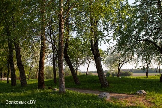 Шавулічы: знак бяды