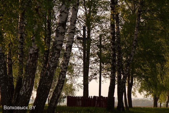 Шавулічы: знак бяды