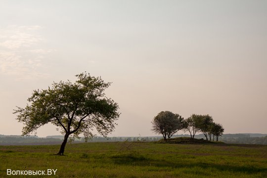 Шавулічы: знак бяды