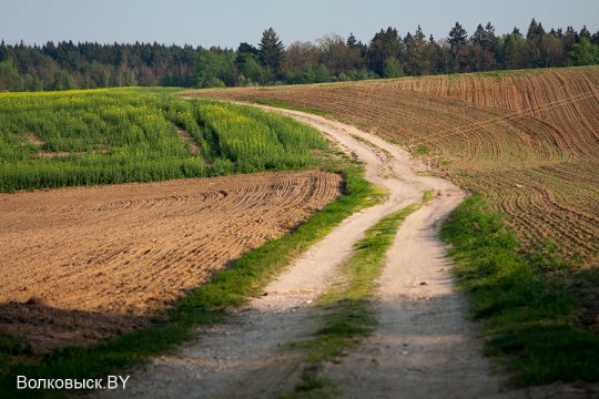 Шавулічы: знак бяды