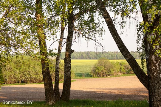Шавулічы: знак бяды