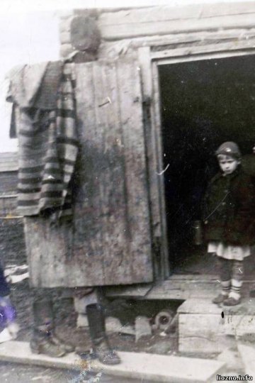 Родом из Лиозно