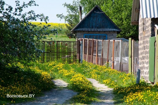 Вандроўкі па Ваўкавышчыне: Карпаўцы
