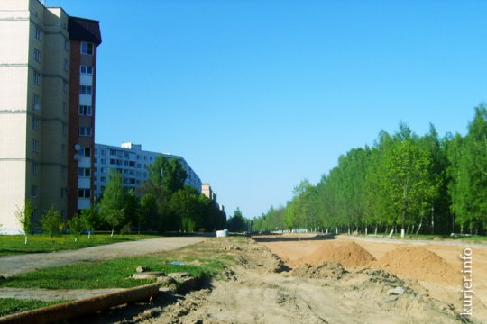 В Солигорске вырубают деревья под застройку. Плотность населения в этом городе, больше, чем в Москве