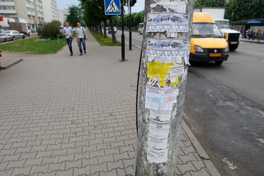 Могилёв намерены очистить от расклеенных где попало объявлений (фото)