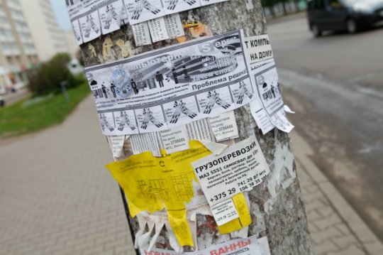 Могилёв намерены очистить от расклеенных где попало объявлений (фото)