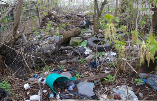 “Терра инкогнита” в центре Горок