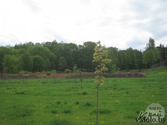 Построена автостоянка возле волейбольной площадки в парке