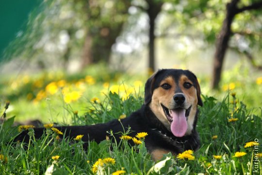 Фотоокна. 18 мая 2013