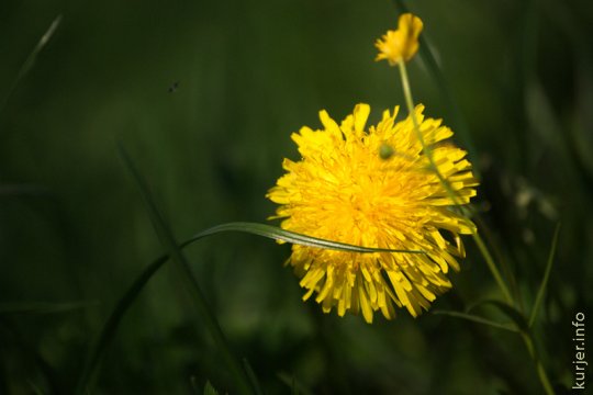 Фотоокна. 18 мая 2013