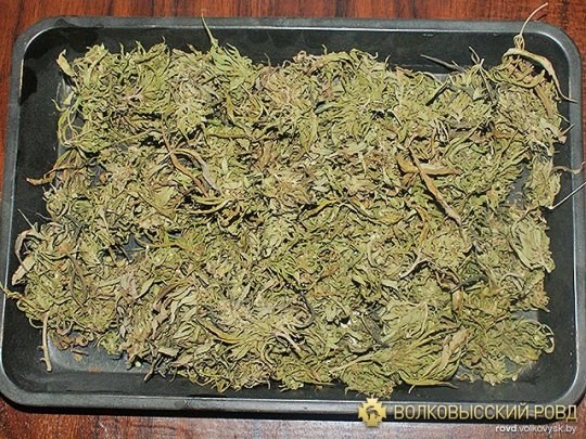 До реализации «товара» дело не дошло