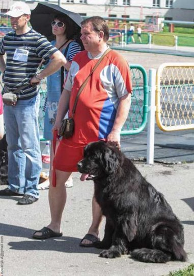 Сабакі на Лакаматыве (+фота)