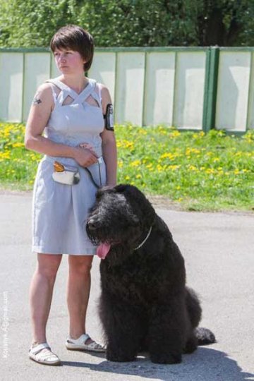 Сабакі на Лакаматыве (+фота)