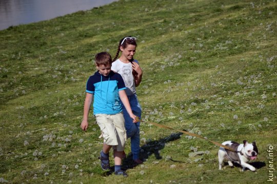 Фотоокна. 20 мая 2013. Про море одуванчиков и другое