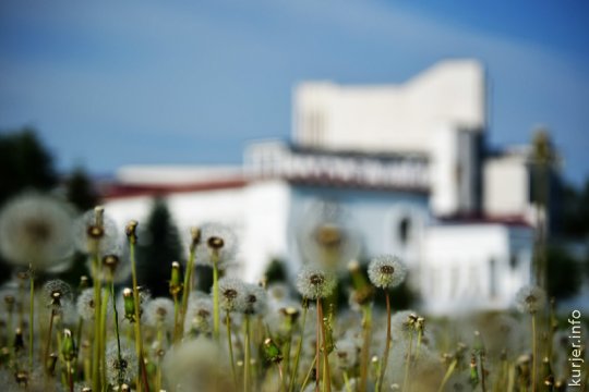 Фотоокна. 20 мая 2013. Про море одуванчиков и другое