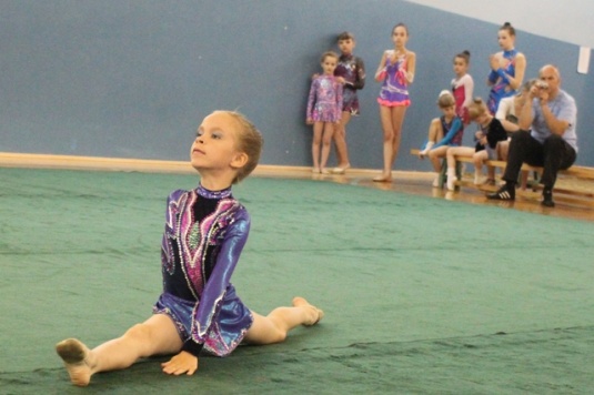 Открытый чемпионат по художественной гимнастике прошел в Жодино
