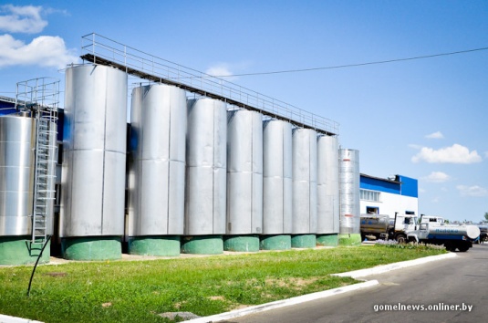 Репортаж: знаменитую рогачевскую сгущенку делают по принципам, которые не менялись два столетия