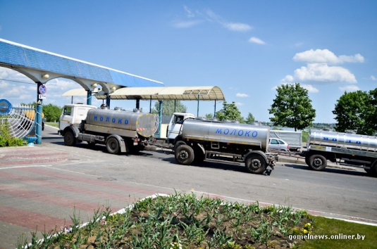 Репортаж: знаменитую рогачевскую сгущенку делают по принципам, которые не менялись два столетия