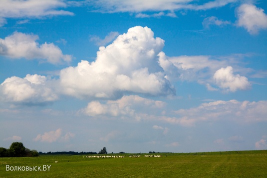 День открытых дверей в Казачьем стане