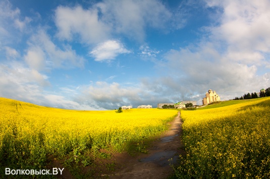 Шоу от Кристофера