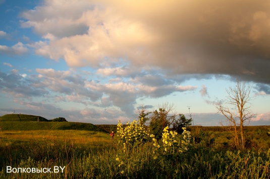 Шоу от Кристофера
