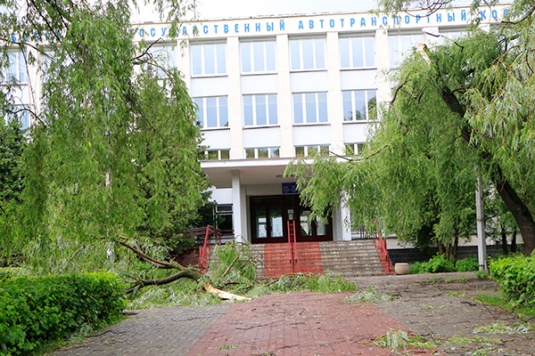 В Бобруйске и районе стихия не пощадила кровлю построек и деревья