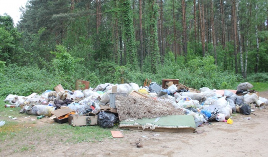 Дачники собирают «урожай мусора»