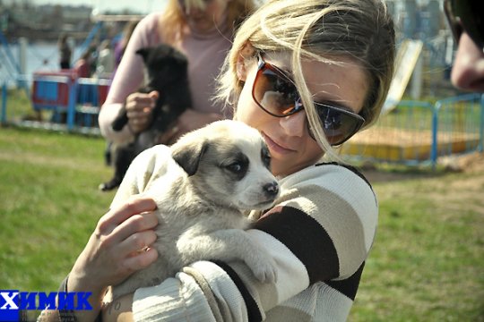 В Полоцке раздавали друзей человека (фото)