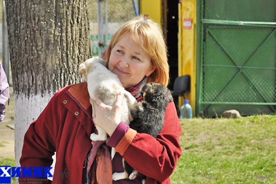 В Полоцке раздавали друзей человека (фото)