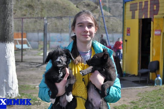 В Полоцке раздавали друзей человека (фото)