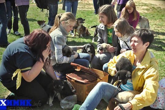 В Полоцке раздавали друзей человека (фото)